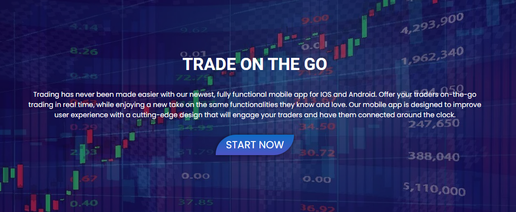 Tradingweb｜Trading system construction